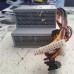 Power Supply for Dell Optiplex 360 745 755 DT Series, Normal 24pin Refurbished (PCP-SPSU-DL003B) Power Supply for Dell Optiplex 360 745 755 DT Series, Normal 24pin Refurbished (PCP-SPSU-DL003B)